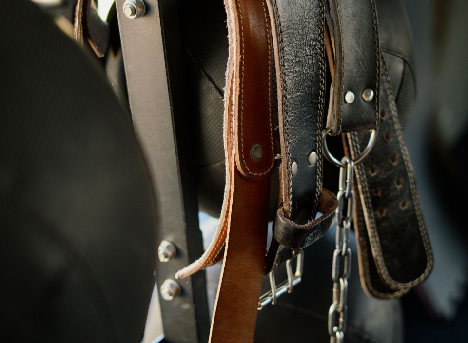 Belts 1